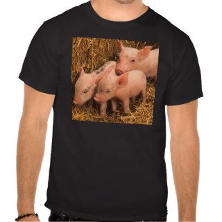 three piglets shirts