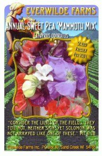 Everwilde Farms   1 Lb Mammoth Mix Sweet Pea Wildflower Seeds   Bulk Seed Packet  Flowering Plants  Patio, Lawn & Garden
