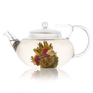 grand lotus glass teapot by the exotic teapot