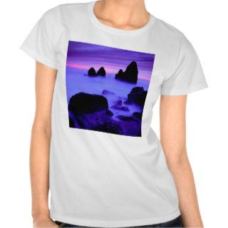 Beach Rodeo Marin T shirts