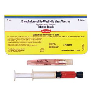 West Nile Innovator Ewt  1 Dose Syringe