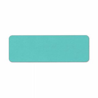 Plain aqua turquoise blue solid background blank return address labels