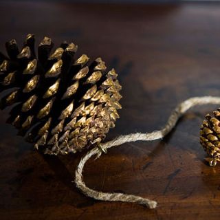 gold gilded cones by useful and beautiful