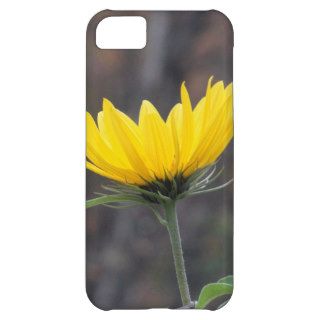 Prairie Sunflower iPhone 5C Covers