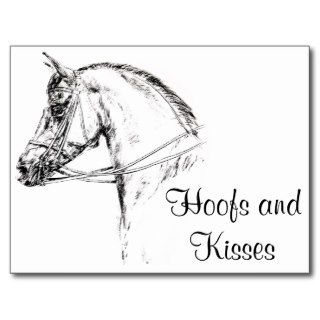 Horse Head Post Cards