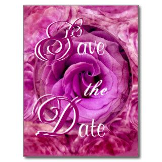 Save the Date Postcard MAGENTA Dream Roses