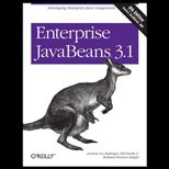Enterprise Javabeans 3.1