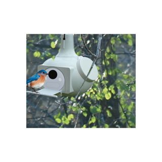 S & K Multigourd Birdhouse, Model# BO9  Bird Baths   Houses