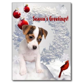 Customize It  Jack Russell Terrier Christmas Wish Post Card