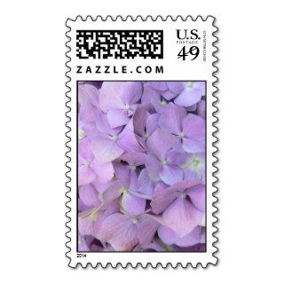 Purple Hydrangea Postage Stamps