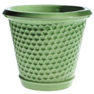 Global Pottery SD166 6 Honeycomb Planter, Happy Green, 6 Inch (Discontinued by Manufacturer)  Patio, Lawn & Garden