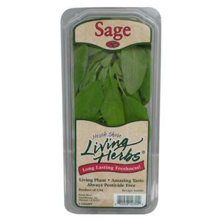 North Shore Living Herbs Sage 2 oz