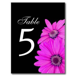 Magenta Daisies Table Number V05 Post Card