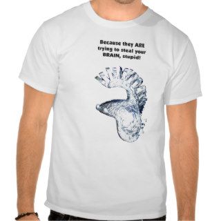 Tin Foil Hats Required Shirt