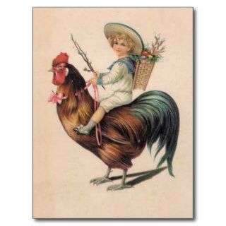 Vintage Rooster Ride Post Cards