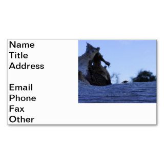 Fiddler on the Stump Business Cards