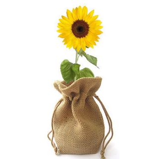 sunflower jute bag grow set by beecycle