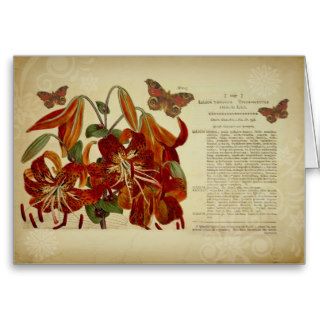 Vintage Tiger Lily Botanical Illustration Greeting Cards