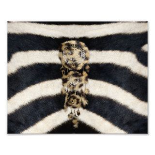 Hipster leopard dreamcatcher girly zebra stripes photo art