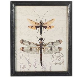vintaged dragonfly print by london garden trading