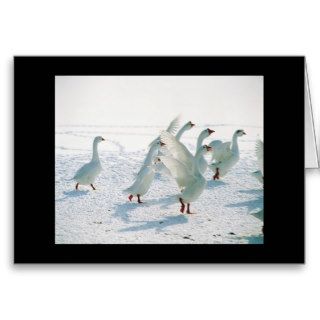 Personalizable Christmas Greeting Snow Geese Card