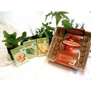 Indoor Culinary Lettuce Kit  Plant Germination Kits  Patio, Lawn & Garden