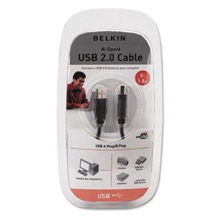 Belkin F3U133V16   Pro Series High Speed USB 2.0 Cable, 16 ft. BLKF3U133V16 Electronics