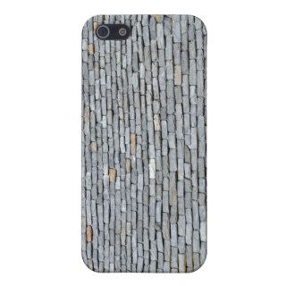 Slate Tile Roof With Window Cases For iPhone 5