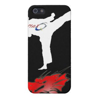 Max Q Master Dragon Karate Case for Apple iPhone 4 Cover For iPhone 5