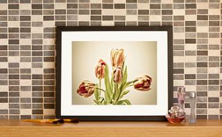 vintage style tulips fine art print by tuomuro