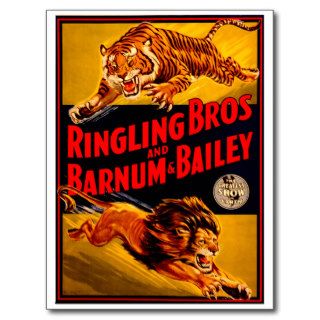Ringling Bros and Barnum & Bailey ~ Vintage Circus Post Card