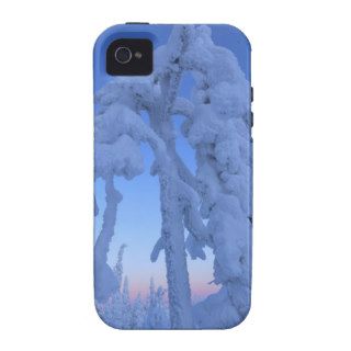 Arctic Forest iPhone 4/4S Cases