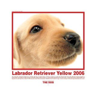 The Dog Yellow Labrador Retriever (Artlist Collection) 9781933131214 Books