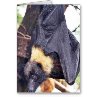 Mariana Fruit Bat Greeting Card