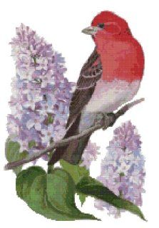 New Hampshire State Bird and Flower Purple Finch and Purple Lilac Counted Cross Stitch Pattern Arts, Crafts & Sewing