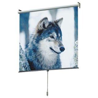 Draper 207009 Draper Screen 100" Roll (Discontinued by Manufacturer) Electronics