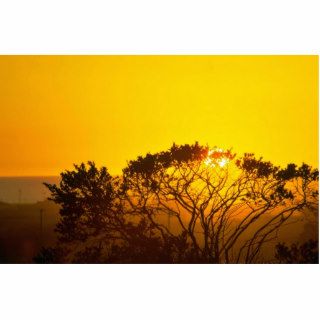 Savanna Sunset Photo Cut Outs