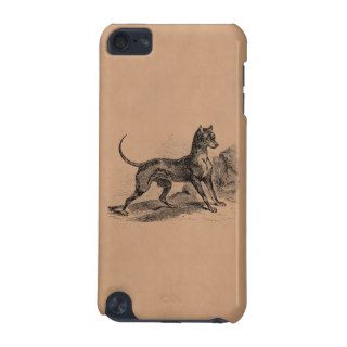 Vintage Doberman Terrier Dog 1800s Dobermans iPod Touch 5G Case