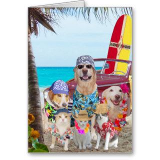 Funny Dogs/Cats Hawaiian/Surfer Birthday Greeting Card