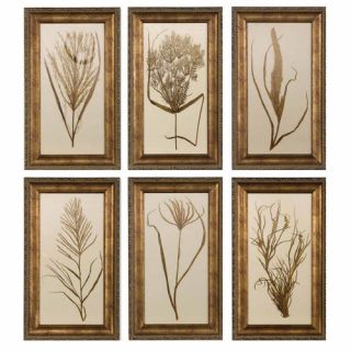 Wheat Grass by Grace Feyock 6 Piece Framed Painting Print Set