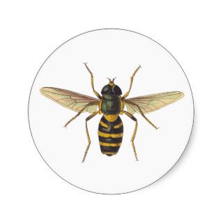 Bee   Wasp   Hornet   Bug   Insect Round Stickers