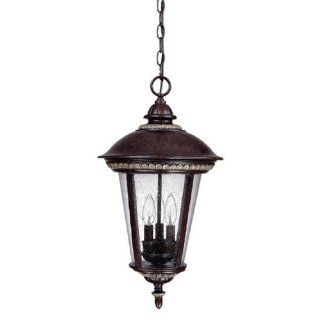 Capital Lighting 9974RB Amherst Collection 3 Light Exterior Hanging Pendant, Royal Bronze with Pewter Finish and Seeded Glass   Ceiling Pendant Fixtures  