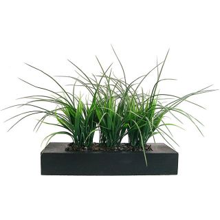 Laura Ashley Green Grass In Contemporary Wood Planter