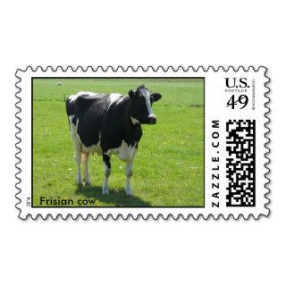 Dutch Frisian cow, Friesland, Holland Postage Stamps
