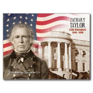 Zachary Taylor   12th President of the U.S. Postcard