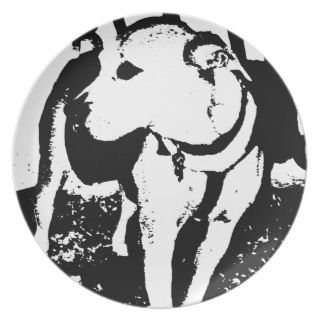 A monochromatic mixed breed Pitbull puppy dog Dinner Plates