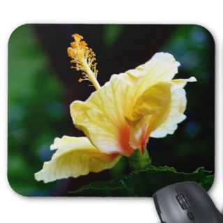 Yellow Hibiscus Hawaii Mouse Pad