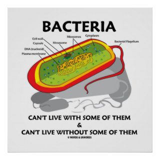 Bacteria Can't Live With Some Of Them Can't Live Poster