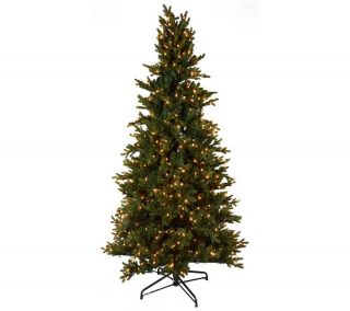 Bethlehem Lights 6.5 Noble Spruce Christmas Tree w/Instant Power —