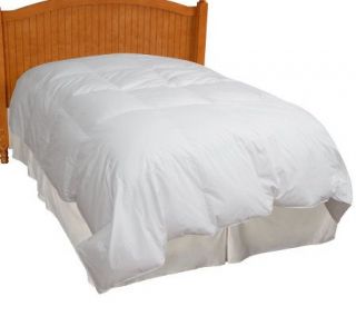 Northern Nights 370TC 600FP Baffle Box F/Q White Goose Down Comforter —